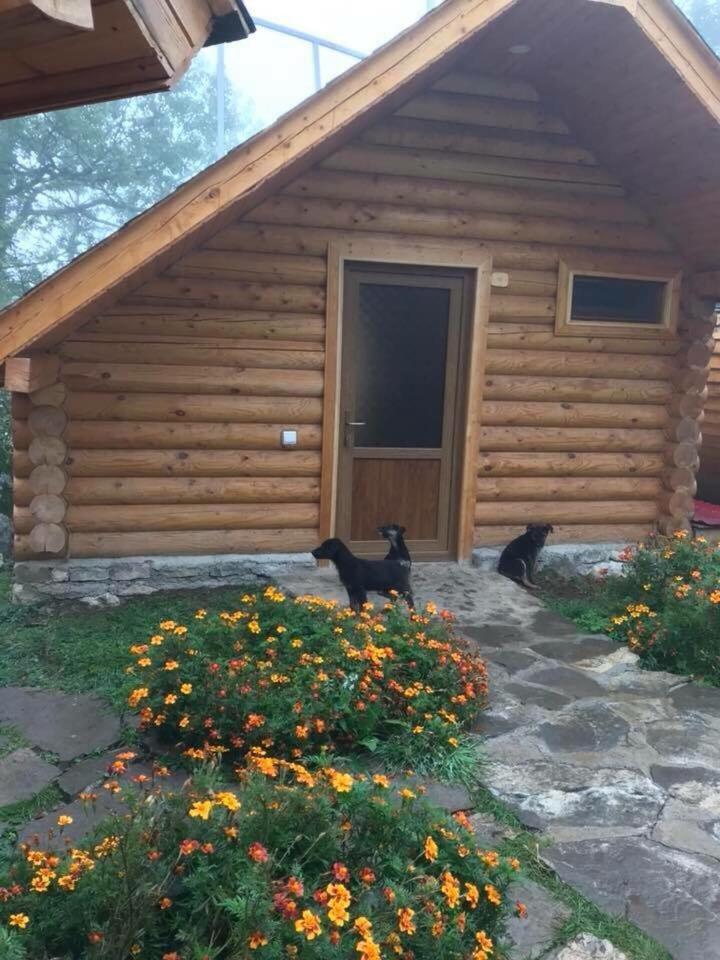 Harsnadzor Eco Resort Halidzor Exterior foto